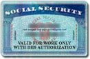 Social Security Card DHS Authorization